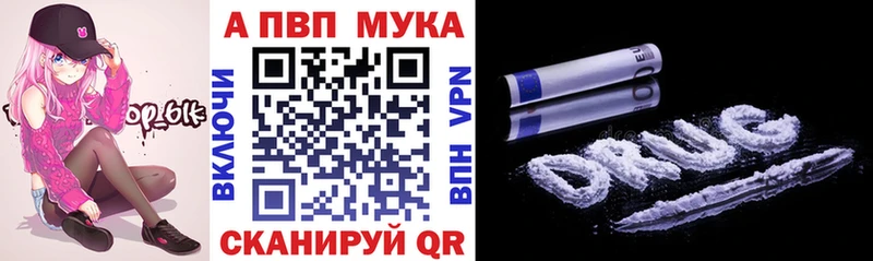 Купить закладки  Светлогорск  Alpha-PVP Соль 