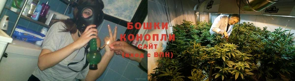 кокс Аркадак
