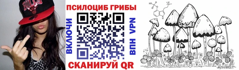 Галлюциногенные грибы ЛСД  Купить закладки  Светлогорск 
